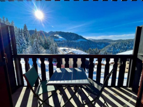 Charmant studio au pied des pistes, animaux admis - FR-1-505-79